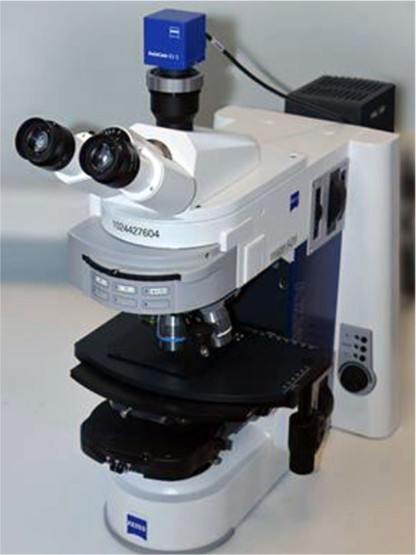 Fig. 4. An Axio Imager 2 binocular microscope with an AxioCam ICc 5 digital camera.