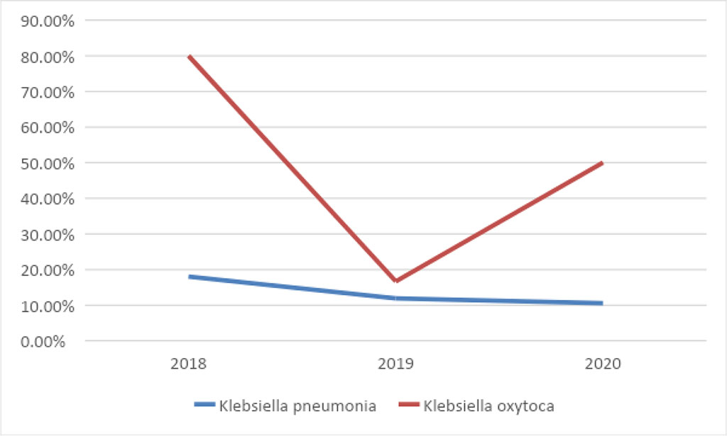 Figure 3: Klebsiella pneumoniae