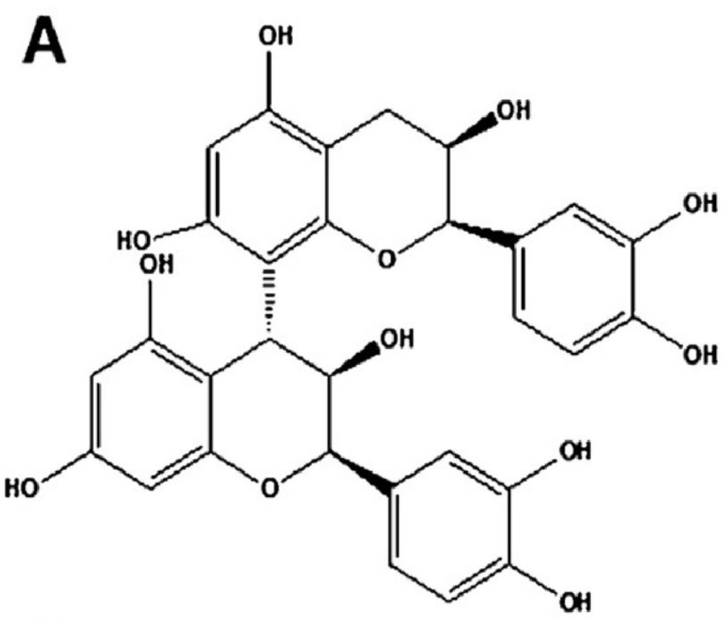 (A) The chemical structure of procyanidin B2 (PCB2) [9] 