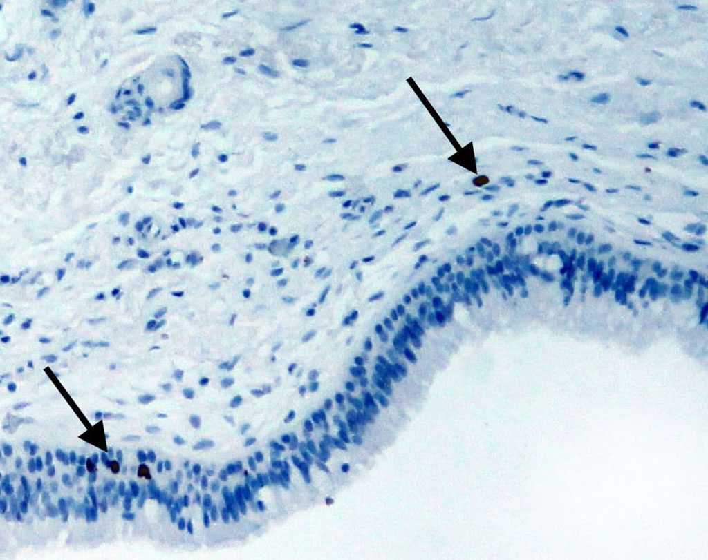 Fig. 2a. The highlighted area in Fig. 2.