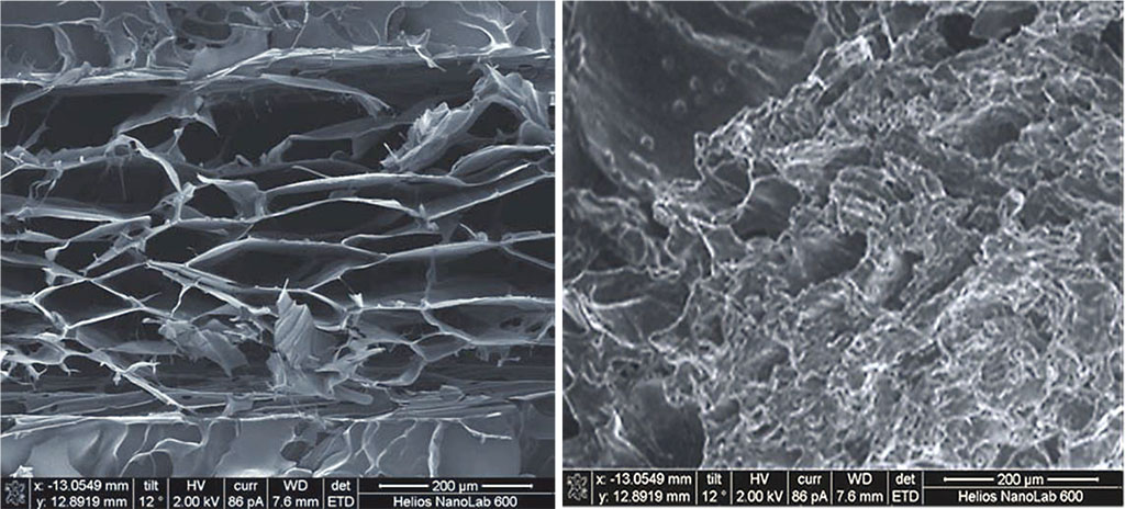 Figure 4. Scanning electron microscopy of sample A with directed (oriented) pores, magnification of ×350.