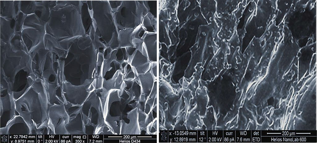 Figure 5. Scanning electron microscopy of sample B with non-directional (isotropic) pores, magnification of ×350.