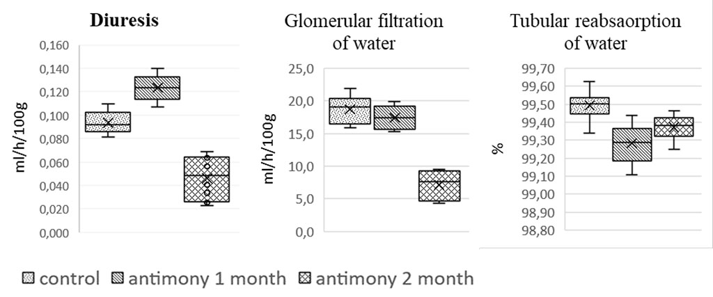 Figure 1. Effect of long-term antimony administration on basic urinary processes
