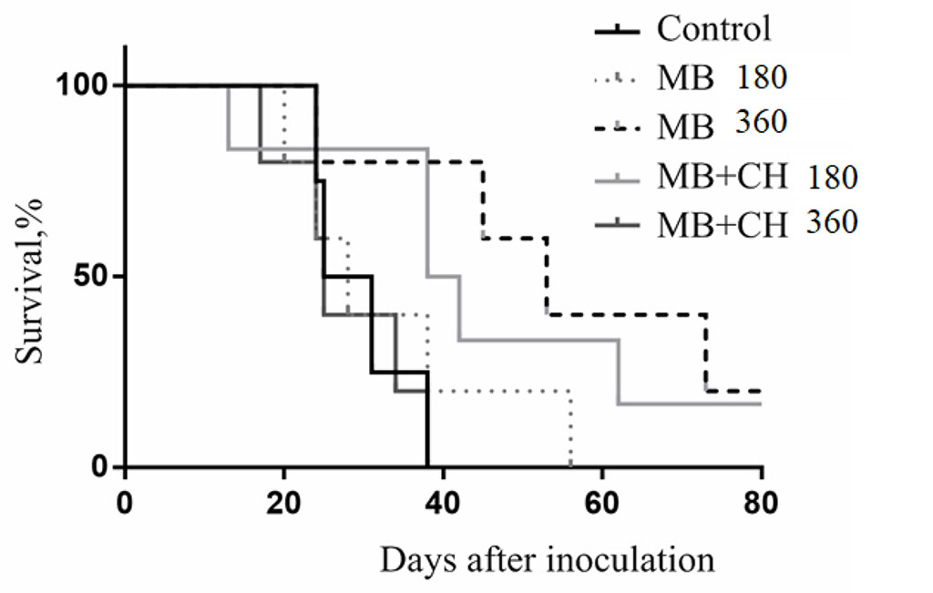 Figure. 3. Dynamics of death and survival of mice with B16 melanoma after photodynamic therapy.