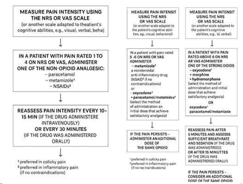 Chart 3.Treatment of mild, moderate and severe pain based on NRS scale or VAS scale