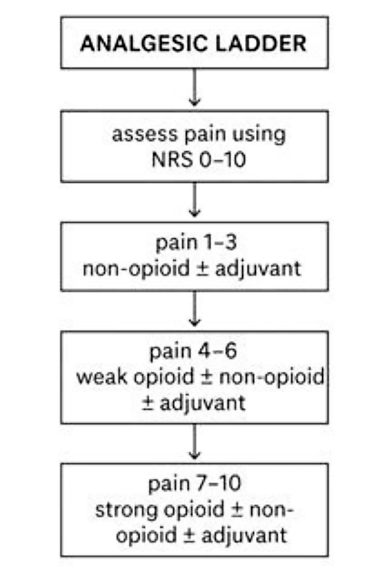 Chart 4. Pharmacotherapy based on the WHO analgesic ladder.