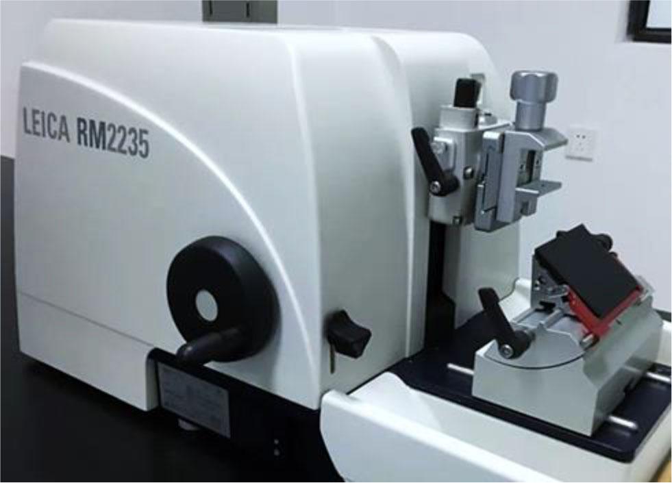 Fig. 4. Leica RM2235 manually controlled rotary microtome