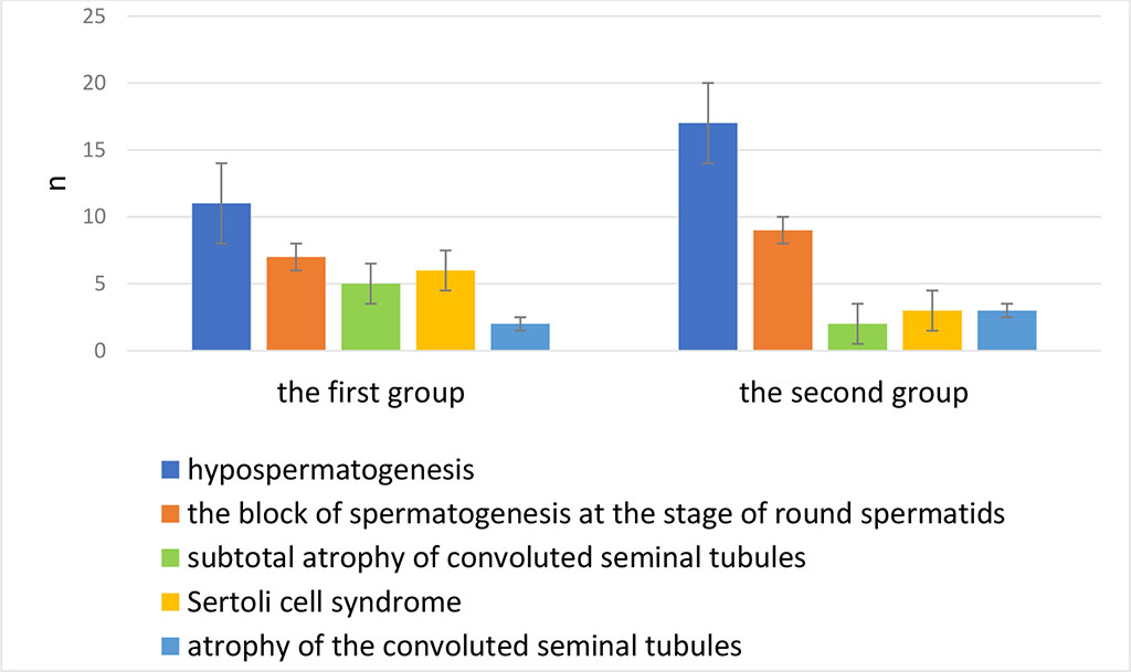 Fig. 2. Morphological Analysis of the results from testicular biopsies in the first and second groups