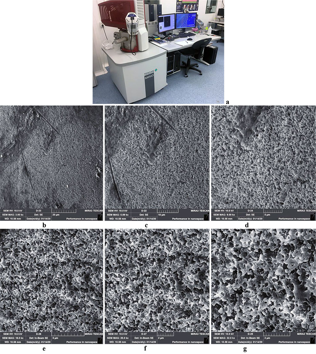Figure 1. Scanning electron microscope TESCAN MIRA 3 LMH (a); surface microstructure of Acry-free® thermoplastic at ×3000(b), ×5000(c), ×9000(d), ×16000(е), ×20000(f), ×32000(g) magnification.