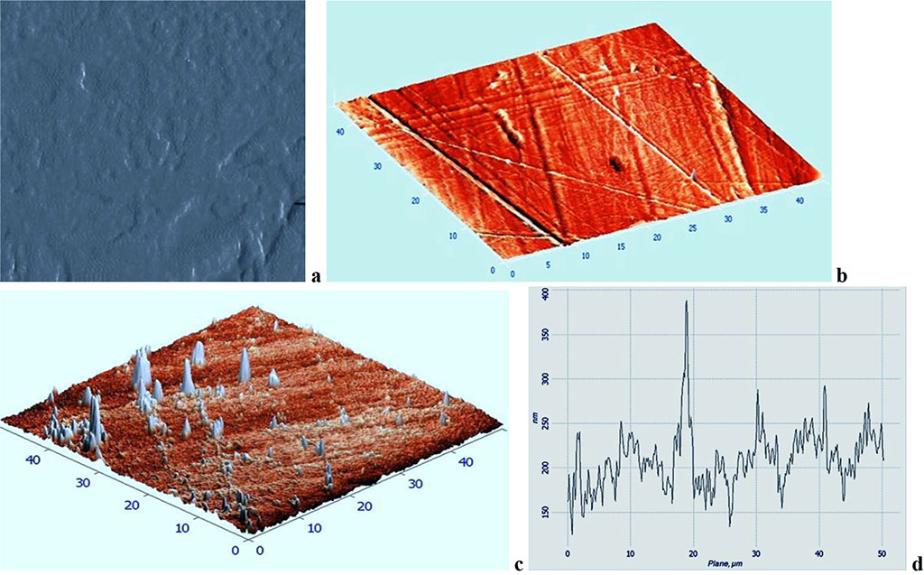 Fig. 5. Topographic two-dimensional (a), respective three-dimensional (b, c) AFM image and the surface profile curve (d) of the Acry-free® thermoplastics sample, control group, 30 days into the experiment (scanning area: 50×50 nm).