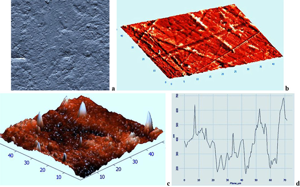 Fig. 6. Topographic two-dimensional (a), respective three-dimensional (b, c) AFM image and the surface profile curve (d) of the Acry-free® thermoplastics sample, comparison group, 30 days into the experiment (scanning area: 50×50 nm).