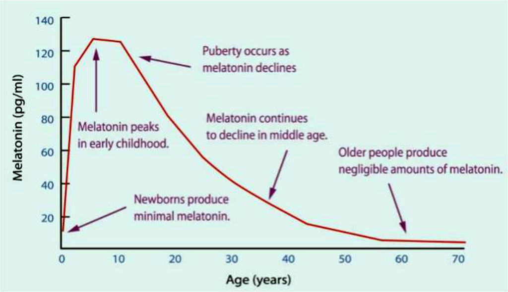 Figure 2. Circadian rhythm of melatonin secretion in individuals of different ages [57].