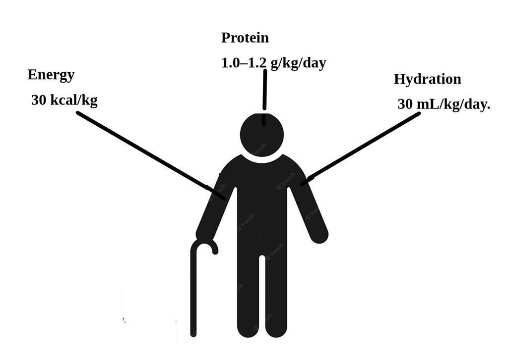 Energy requirements in the geriatric population