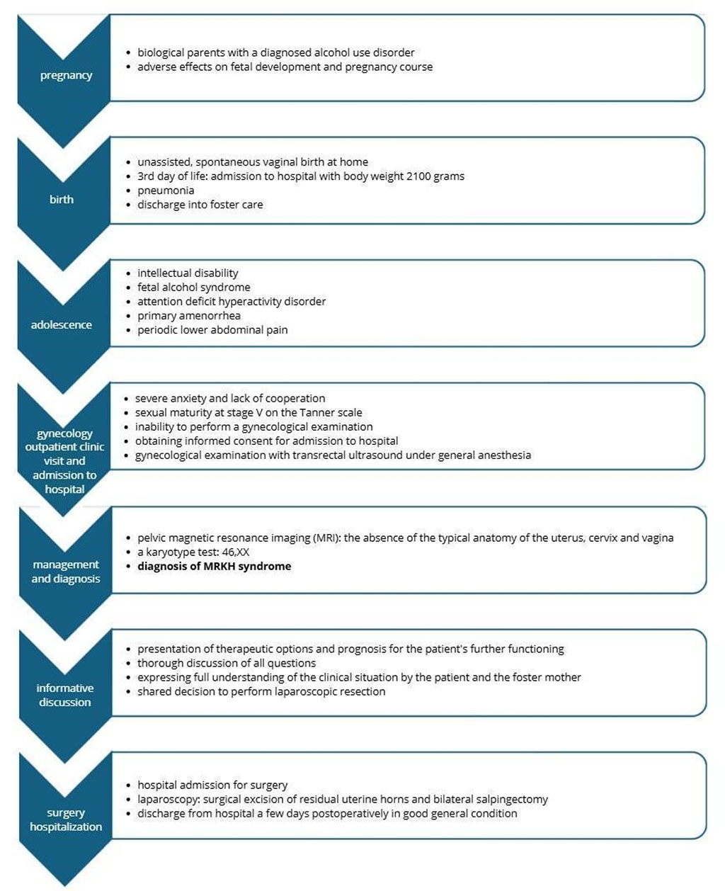 Figure 4. The case report timeline