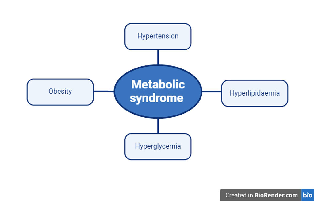 Fig.1. Metabolic syndrome risk factors