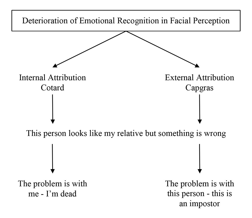 Fig. 1. Based on Young and colleagues [44].