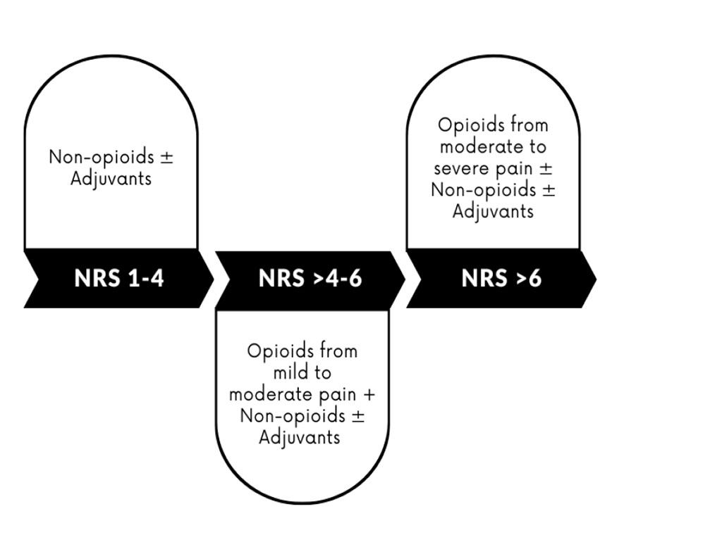 Fig. 1. WHO Analgesic Ladder [1,2,22]